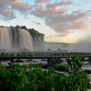 rain-forest-full-day-bambu-hostel-brazil-1