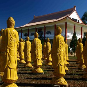 wakeboard-buddhist-temple-bambu-hostel-brazil-5