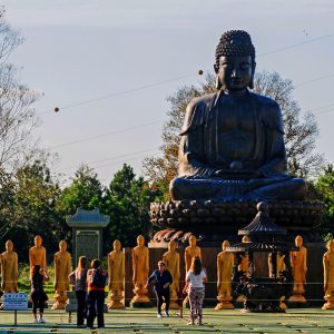 wakeboard-buddhist-temple-bambu-hostel-brazil-6