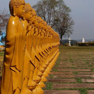 wakeboard-buddhist-temple-bambu-hostel-brazil-7