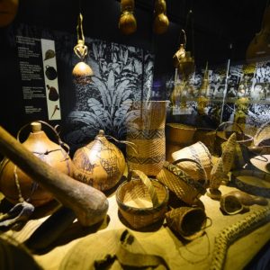 museu-da-terra-guarani-bambu-hostel-paraguay-experience