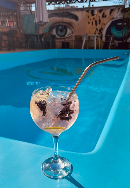 free drink bambu hostels foz do iguacu